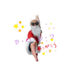 Xmasパーティ（個別スタンプ：5）