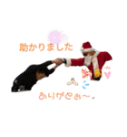 Xmasパーティ（個別スタンプ：24）