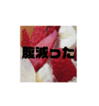 背景付きゴリ文字（個別スタンプ：5）