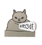 じゃっかん筋肉質なヌコ（個別スタンプ：3）