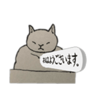 じゃっかん筋肉質なヌコ（個別スタンプ：6）