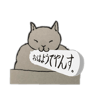 じゃっかん筋肉質なヌコ（個別スタンプ：7）