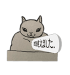 じゃっかん筋肉質なヌコ（個別スタンプ：11）