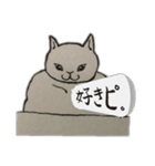 じゃっかん筋肉質なヌコ（個別スタンプ：12）