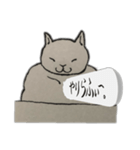 じゃっかん筋肉質なヌコ（個別スタンプ：14）