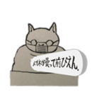 じゃっかん筋肉質なヌコ（個別スタンプ：16）