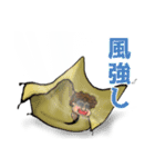 イイゼくんのキャンプ編（個別スタンプ：13）
