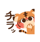【2022】トラの子たったんのスタンプ（個別スタンプ：25）