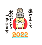 飛び出す♪カワウソさんの年末年始2022（個別スタンプ：4）