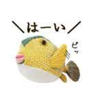 魚のぬいぐるみ（個別スタンプ：4）