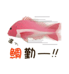 魚のぬいぐるみ（個別スタンプ：6）