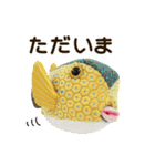 魚のぬいぐるみ（個別スタンプ：26）