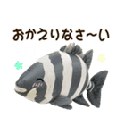 魚のぬいぐるみ（個別スタンプ：27）