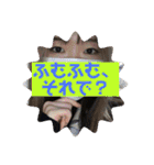 細胞がブレてる女性（個別スタンプ：27）