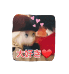 セダとやよいと仲間達（個別スタンプ：12）