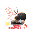 ずんずん茶ラブのあんずパート2（個別スタンプ：4）