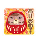 市川家スタンプ③（個別スタンプ：3）