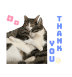 もふもふ仲間（個別スタンプ：4）