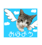 もふもふ仲間（個別スタンプ：7）