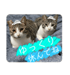 もふもふ仲間（個別スタンプ：10）