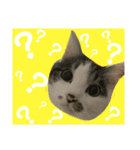 もふもふ仲間（個別スタンプ：14）