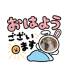 ピコとゆかい仲間スタンプ（個別スタンプ：1）