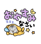 ピコとゆかい仲間スタンプ（個別スタンプ：3）