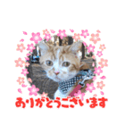 ピコとゆかい仲間スタンプ（個別スタンプ：5）