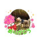 ピコとゆかい仲間スタンプ（個別スタンプ：6）