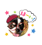 ピコとゆかい仲間スタンプ（個別スタンプ：9）