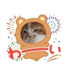 ピコとゆかい仲間スタンプ（個別スタンプ：10）