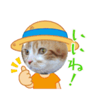 ピコとゆかい仲間スタンプ（個別スタンプ：11）