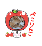 ピコとゆかい仲間スタンプ（個別スタンプ：15）