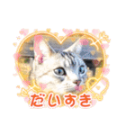 ピコとゆかい仲間スタンプ（個別スタンプ：16）