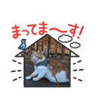 ピコとゆかい仲間スタンプ（個別スタンプ：23）