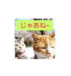 ピコとゆかい仲間スタンプ（個別スタンプ：27）