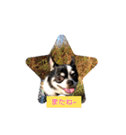 ピコとゆかい仲間スタンプ（個別スタンプ：28）