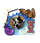 ピコとゆかい仲間スタンプ（個別スタンプ：35）