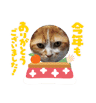 ピコとゆかい仲間スタンプ（個別スタンプ：39）