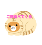 クマちゃんこのスタンプ2（個別スタンプ：12）
