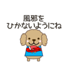 プードル/犬好きなあなたへ 冬 年賀等も（個別スタンプ：34）