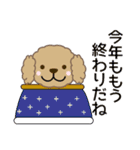 プードル/犬好きなあなたへ 冬 年賀等も（個別スタンプ：37）