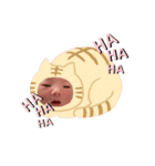 おとちゃんスタンプ  2（個別スタンプ：13）