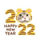 2022正月ほたる（個別スタンプ：3）