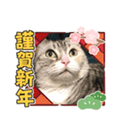 2022正月ほたる（個別スタンプ：4）