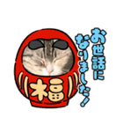 2022正月ほたる（個別スタンプ：7）