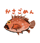 紀州釣りスタンプ（個別スタンプ：6）