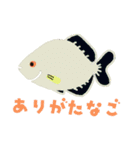 紀州釣りスタンプ（個別スタンプ：7）