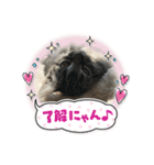 可愛い猫  猫好き集まれ！（個別スタンプ：4）