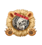 可愛い猫  猫好き集まれ！（個別スタンプ：6）